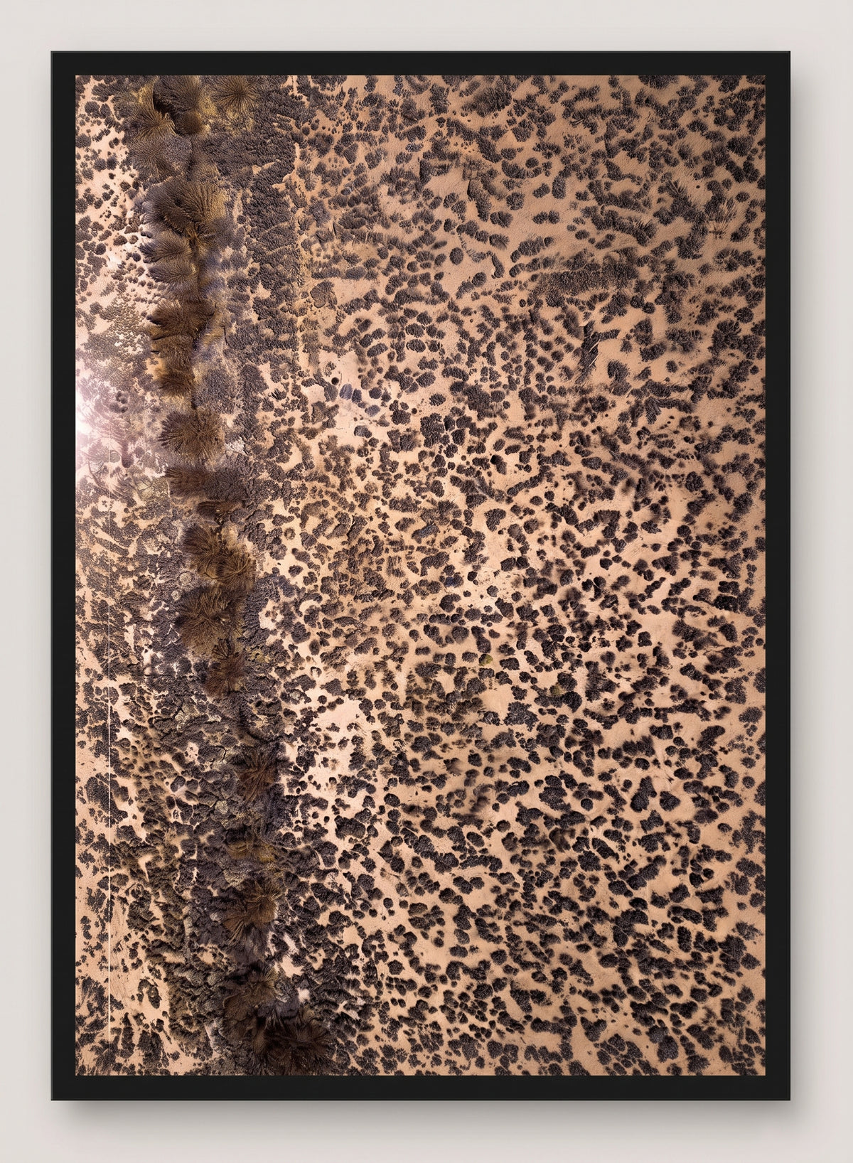 Leopard Print – Abstract Nature Pattern Photography Framed Print