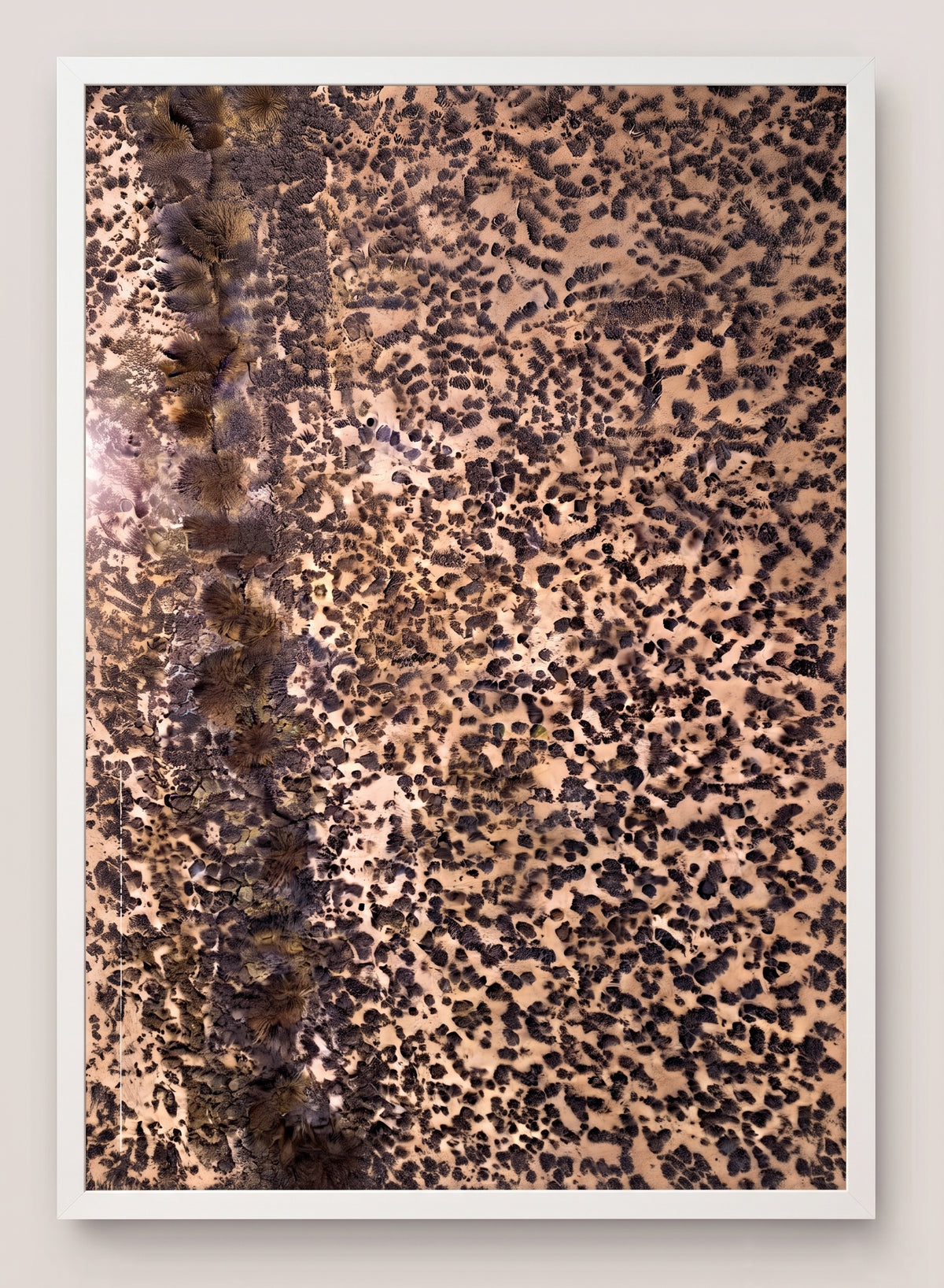 Leopard Print – Abstract Nature Pattern Photography Framed Print