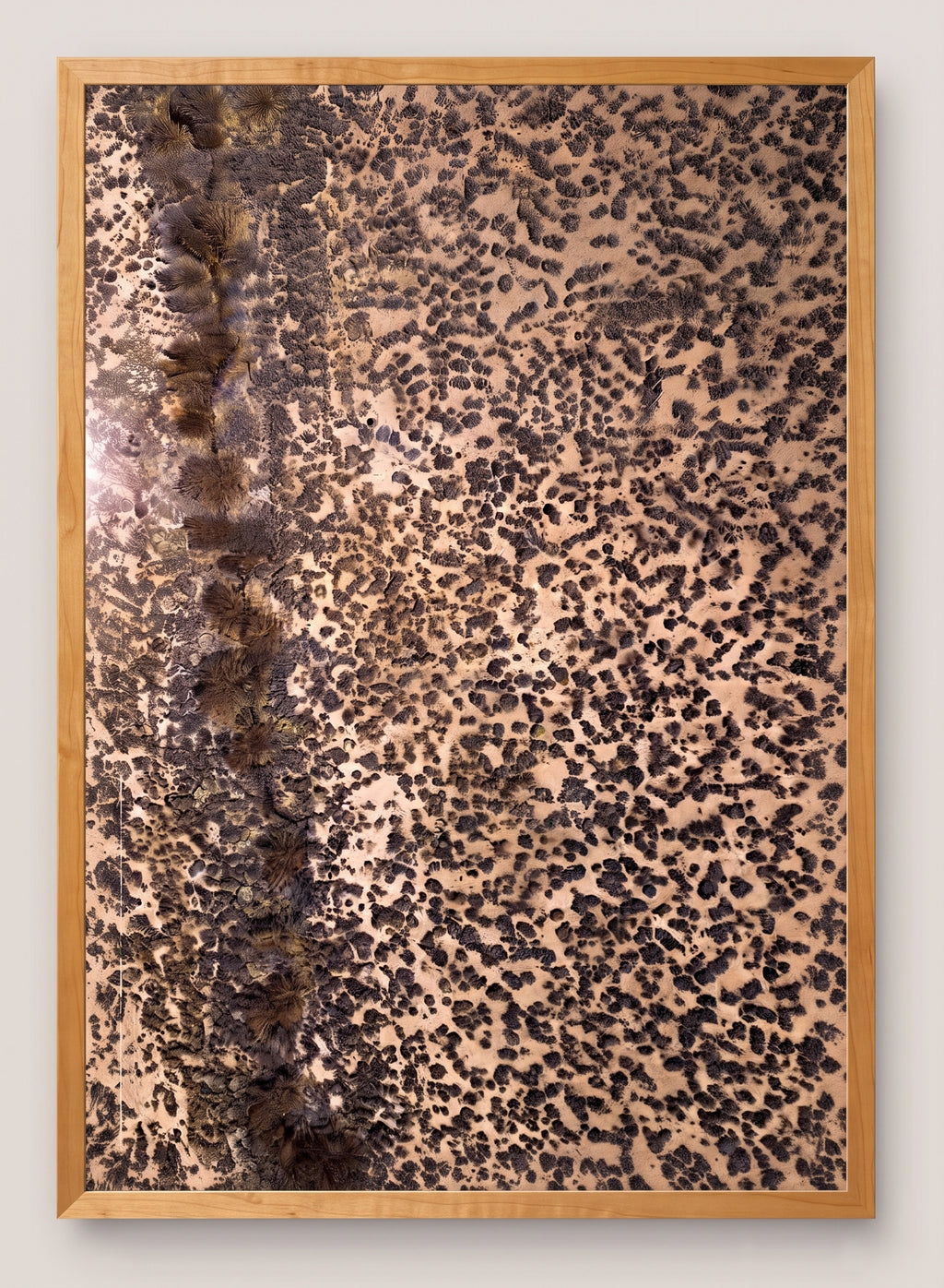 Leopard Print – Abstract Nature Pattern Photography Framed Print