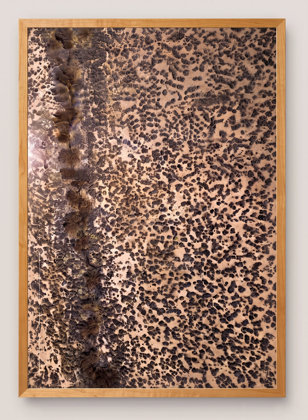 Leopard Print – Abstract Nature Pattern Photography Framed Print