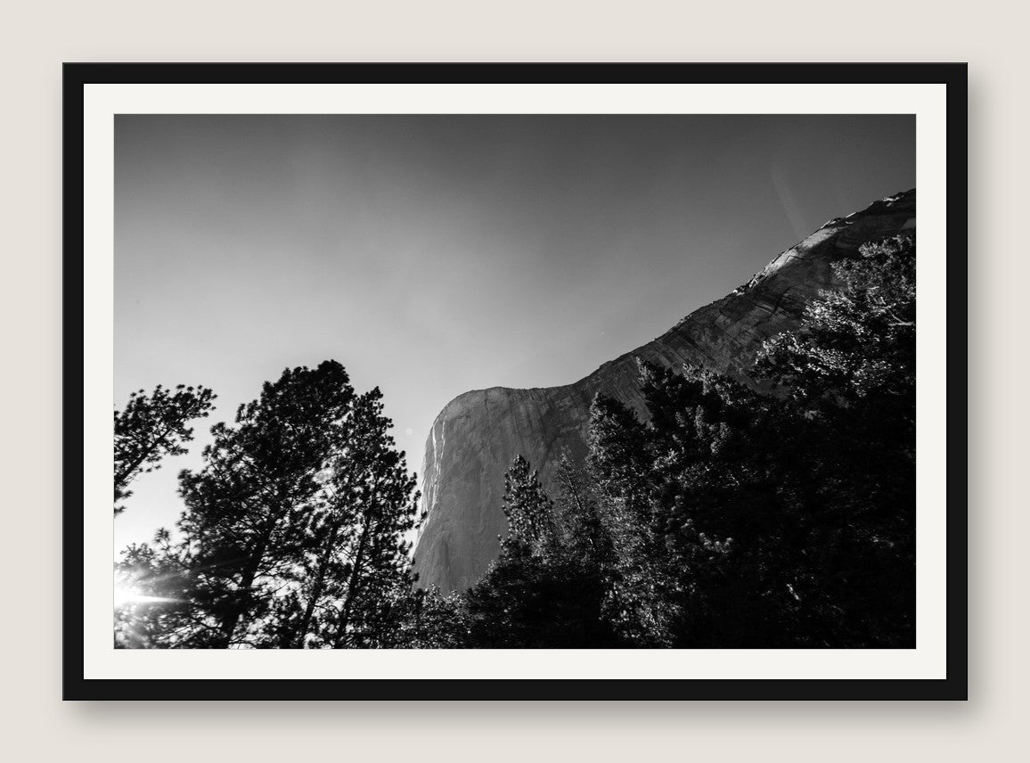 El Capitan Through the Trees - Black Frame