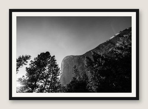 El Capitan Through the Trees - Black Frame