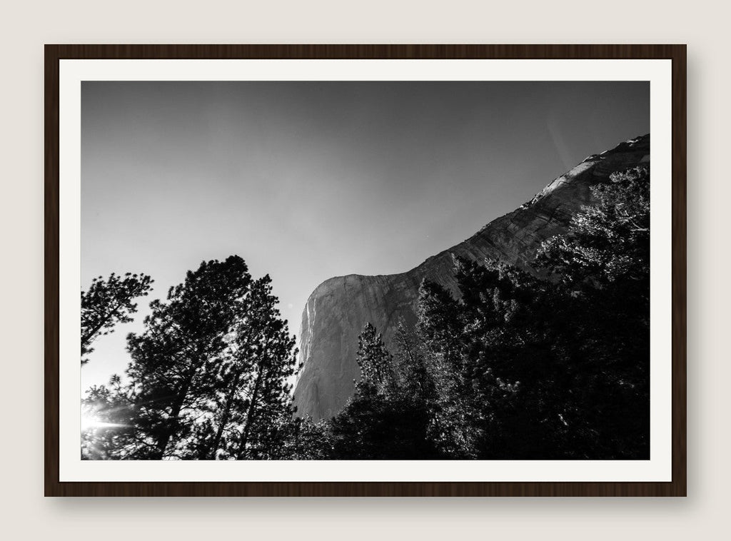 El Capitan Through the Trees - Espresso Frame