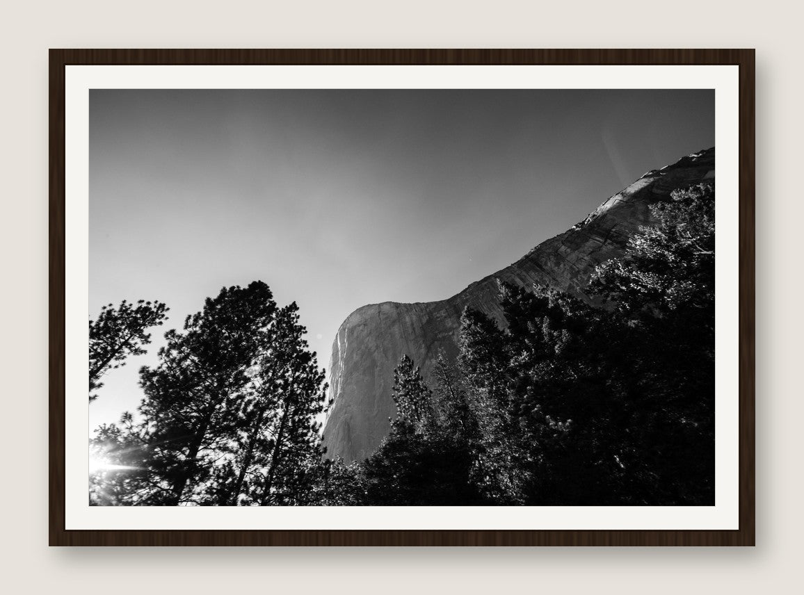 El Capitan Through the Trees - Espresso Frame