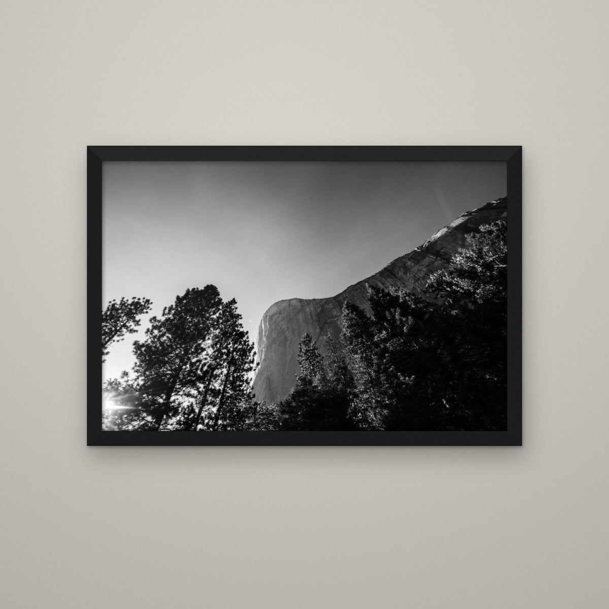 El Capitan Through the Trees - Matte Black frame, no mat (8x12 & 12x18)