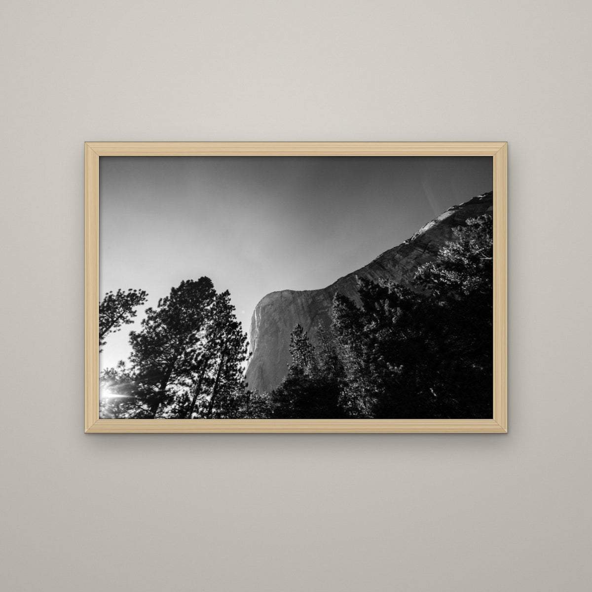 El Capitan Through the Trees - Matte Maple frame, no mat (8x12 & 12x18)