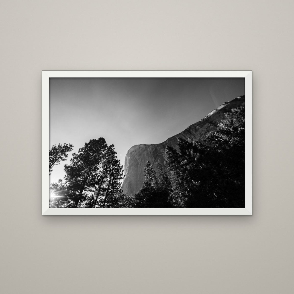 El Capitan Through the Trees - Matte White frame, no mat (8x12 & 12x18)
