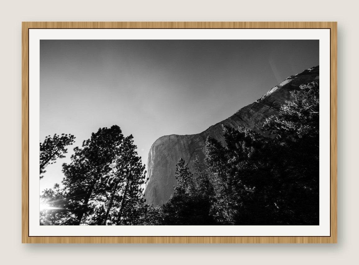 El Capitan Through the Trees - Maple Frame