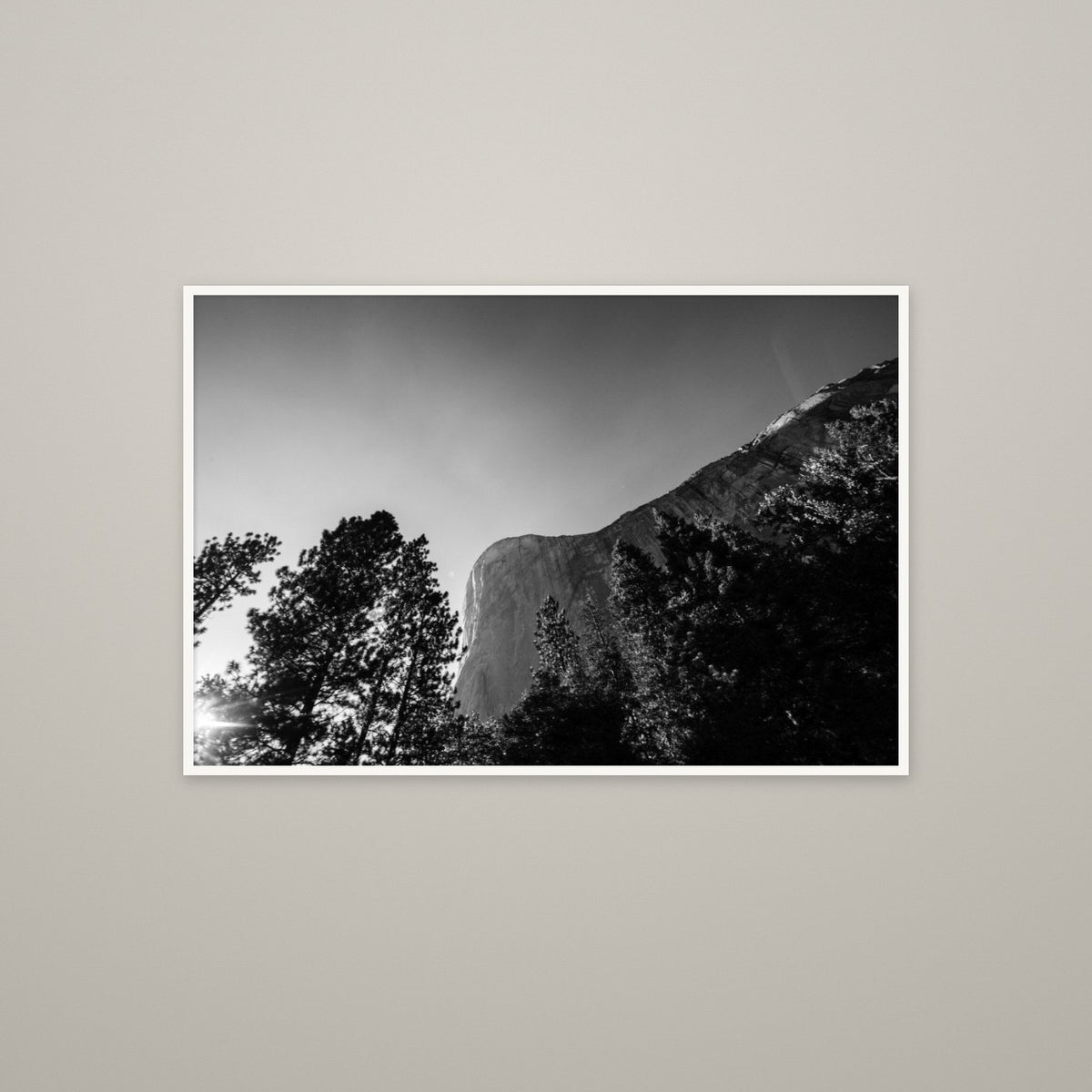El Capitan Through the Trees - Unframed print with 0.25" white border