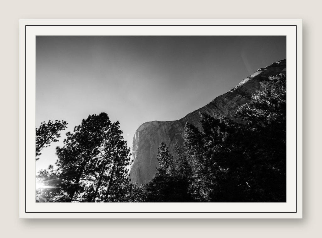 El Capitan Through the Trees - White Frame
