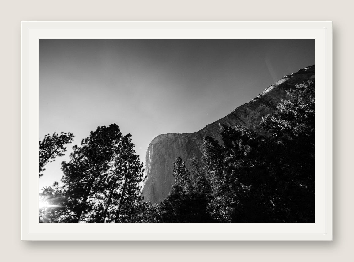 El Capitan Through the Trees - White Frame
