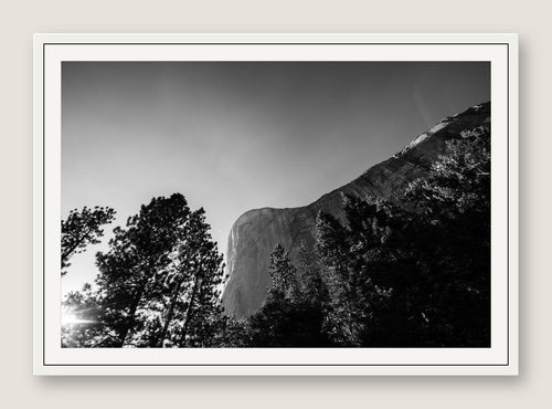 El Capitan Through the Trees - White Frame