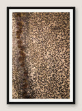 Leopard Ground - Black Frame