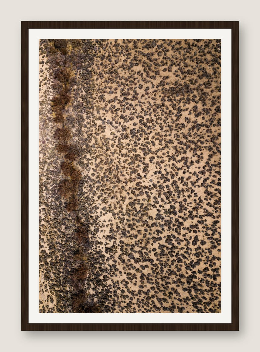 Leopard Ground - Espresso Frame