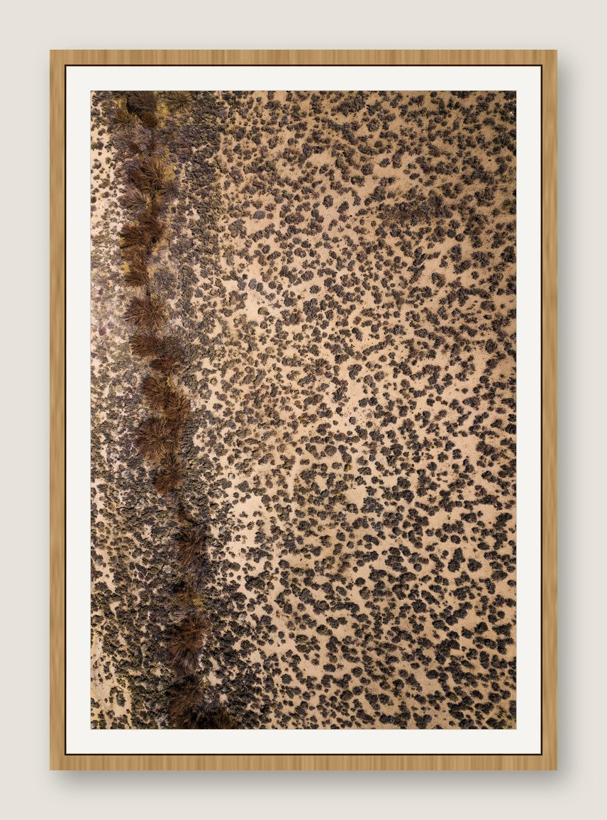 Leopard Ground - Maple Frame