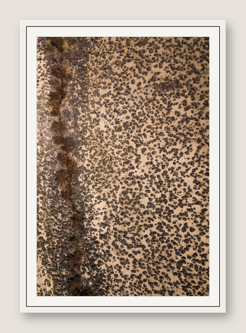 Leopard Ground - White Frame