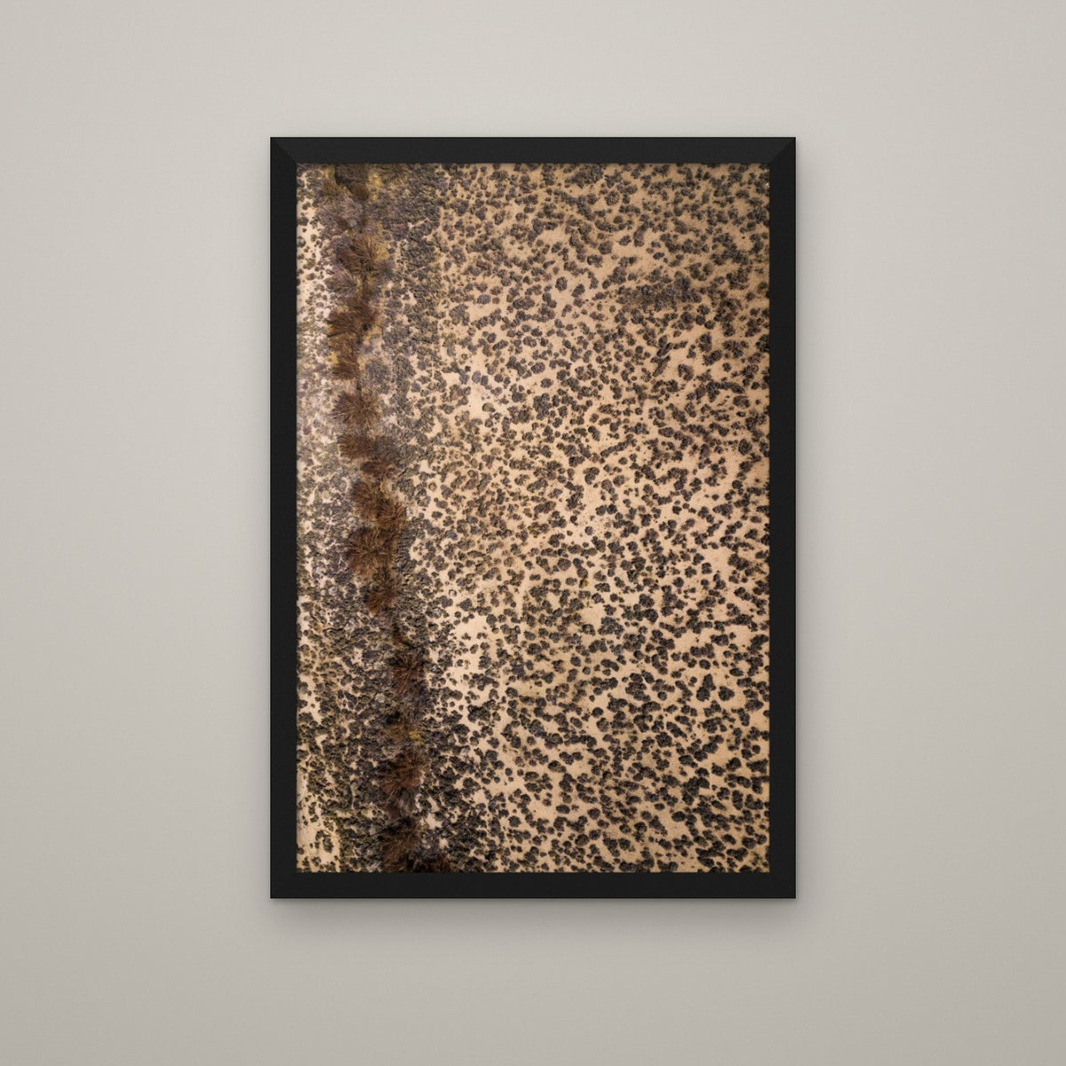 Leopard Print - Matte Black frame, no mat (8x12 & 12x18)