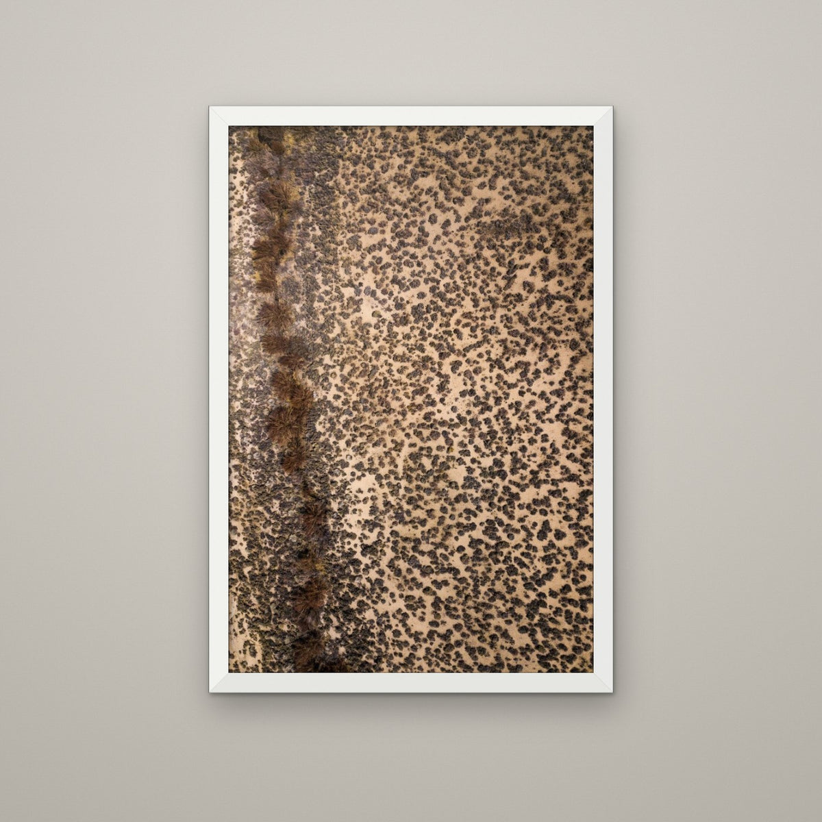 Leopard Print - Matte White frame, no mat (8x12 & 12x18)