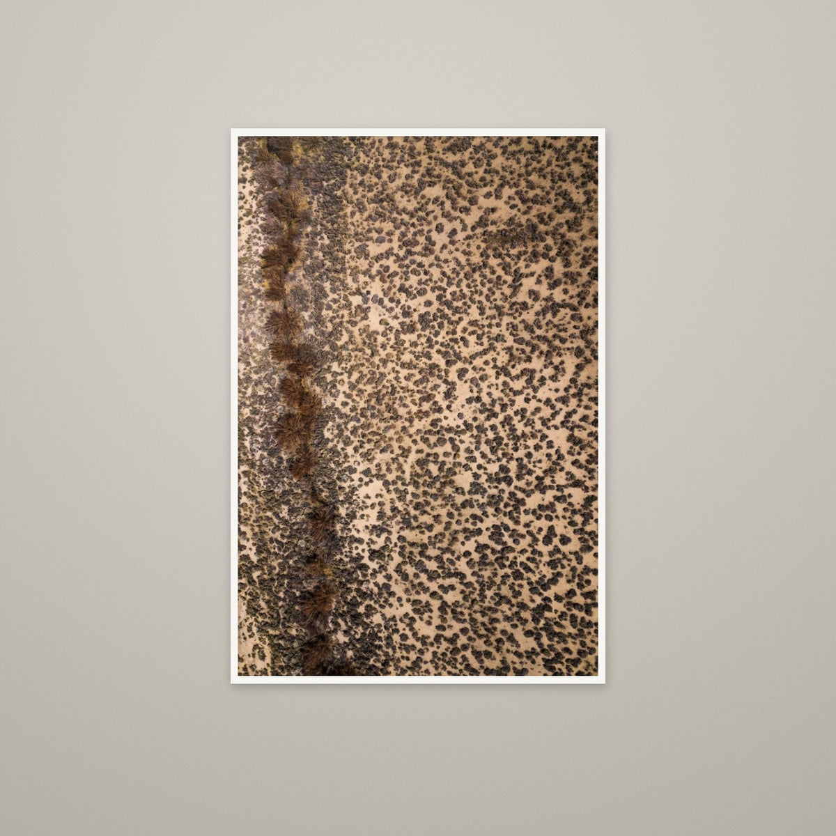 Leopard Print - Unframed print with 0.25" white border