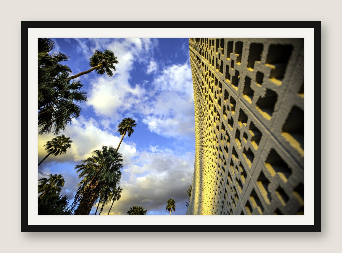Perforated Facade and Palms - Black Frame