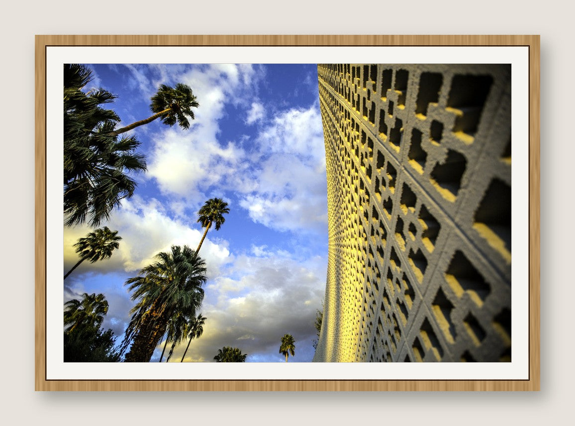 Perforated Facade and Palms - Maple Frame