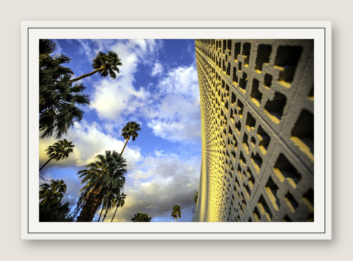 Perforated Facade and Palms - White Frame